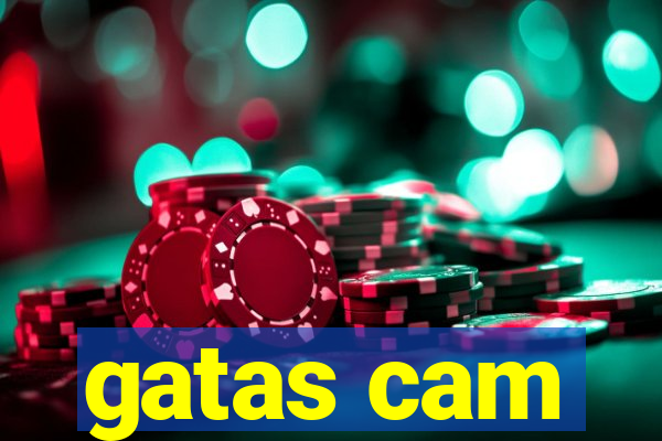 gatas cam